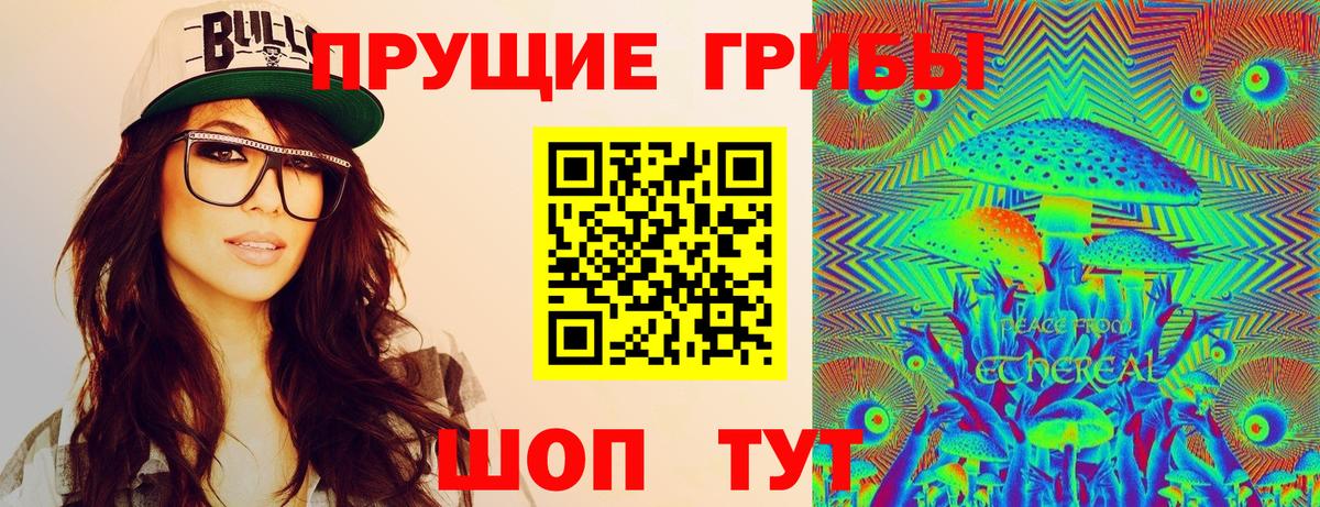Псилоцибиновые грибы Psilocybe Тула